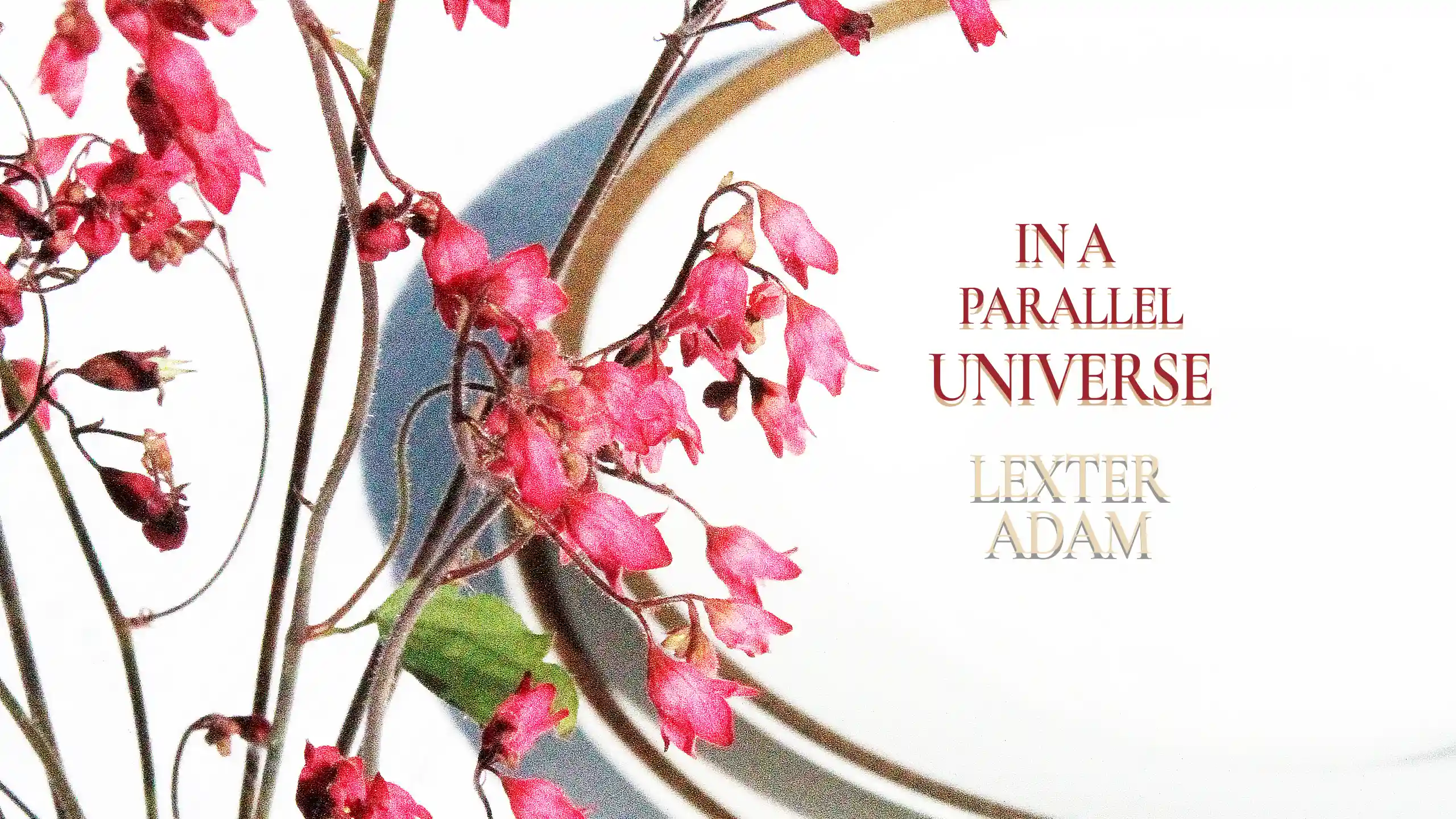 Lexter Adam - In A Parallel Universe