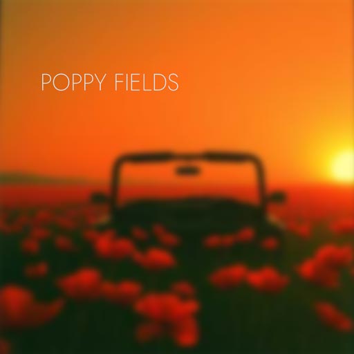 Lexter Adam - The Summer of 24 - Poppy Fields