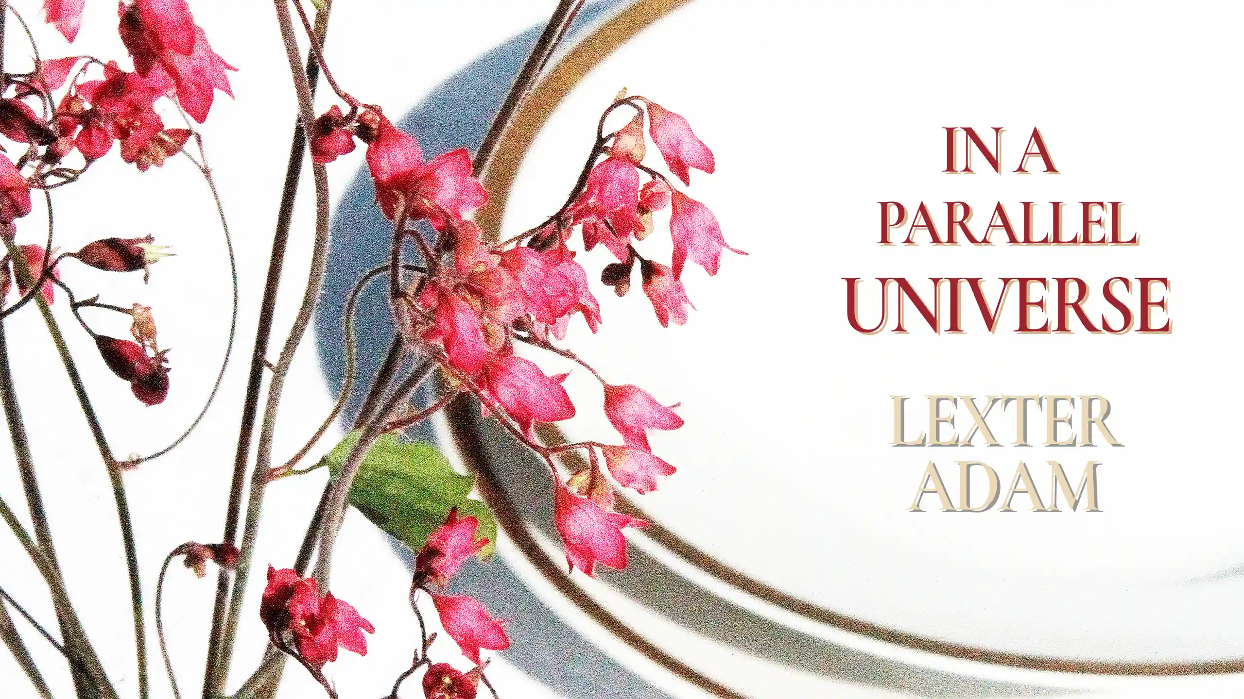 Lexter Adam - In A Parallel Universe